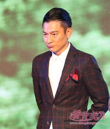 刘德华经典短碎发型 2017最新韩短发型(4)_香