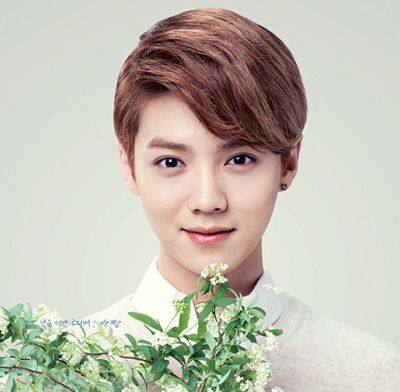 2016男名字短发发型人流图片超短发天后发型学生25男生能烫发吗图片