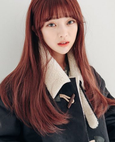 2019�ﶬ�����Ϳ��Խ�ɢ�����е��� 2019�＾����ʲô�������