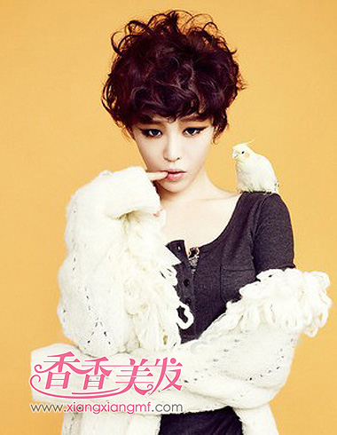 �򵥶̾������� ����ʱ�и�����