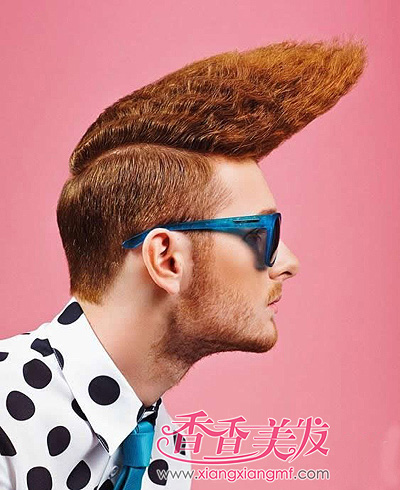 ŷ�������Ե���ʿ���� ���벻����������