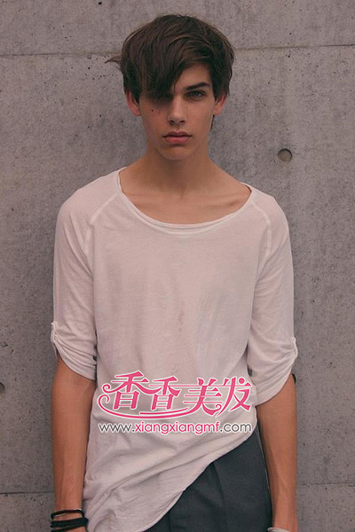 2015ŷ�����е��������� ��˧�̷��������з���