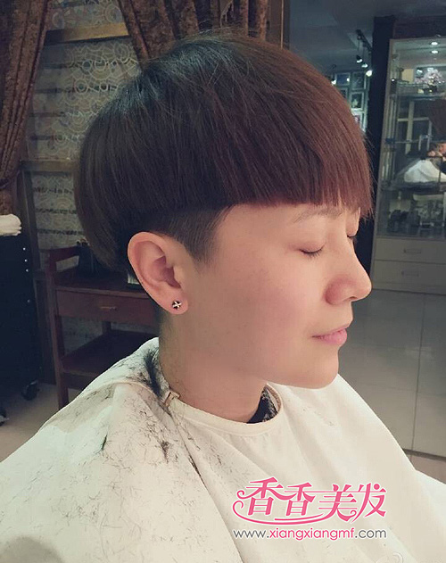 �����ֻ��·��� �̷��ع�������