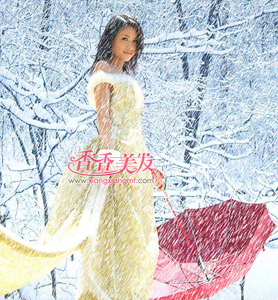 ѩ��������װ�ع���֤����ʱ�� �̵�����ѩ������