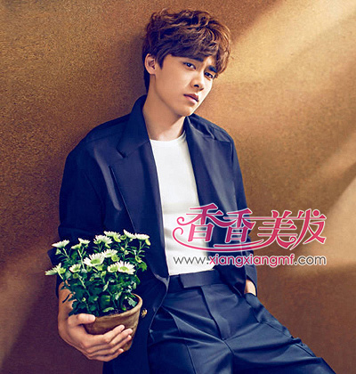 ����˧��BOBOͷ ��ϵ��������ͷ