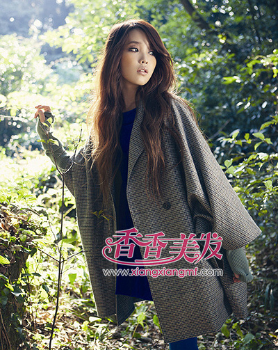 2015����ÿ��ľ��� ��in�������ͽ���