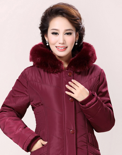 ʱ���������������� �������������̷���