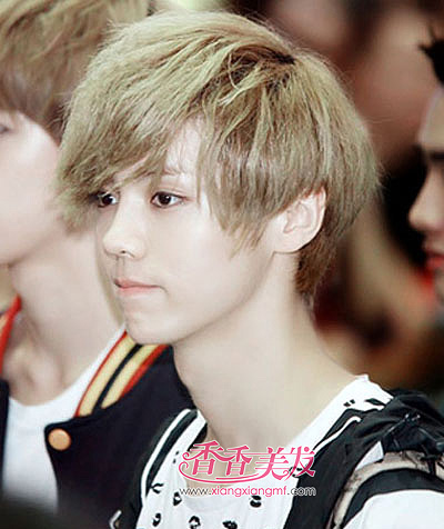 2015���г���ѧ������������ͼƬ ѧ���̷����͹�������