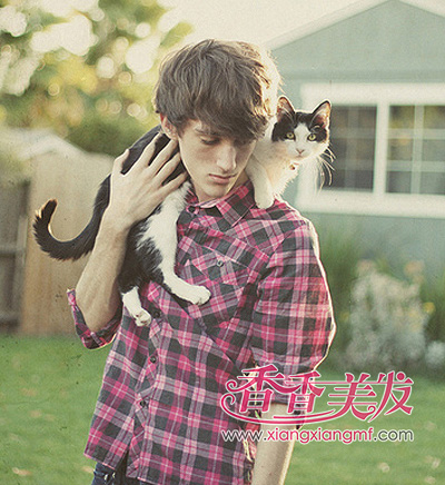 ���������ʺ�ʲô���� ��������ͼƬ