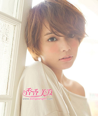 Բ���ʺϲ���ͷ�� 2015�ʺ�Բ���Ĳ���ͷ