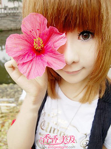 ������ѧ���̷���� ѧ��ͷ�����������