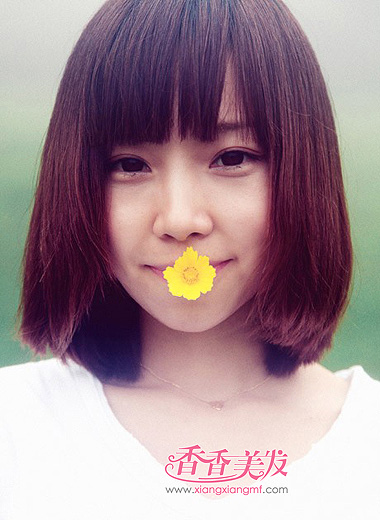 ���������������� ������ѧ���̷�����