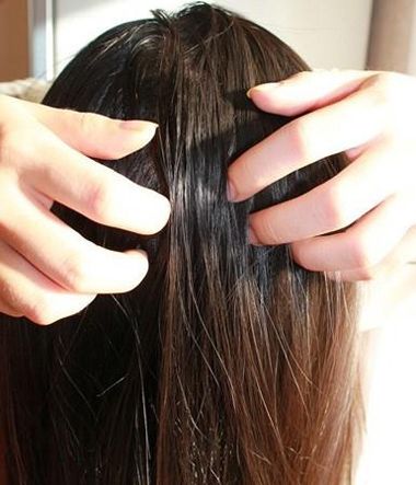 �ļ��������͵��̷� ���컨����������