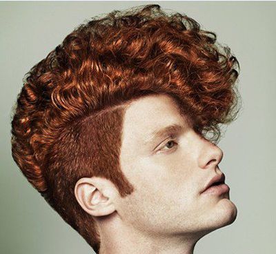 ��Բ���������� ��Ȼ������������