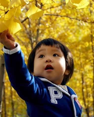 �ɰ�����Ģ��ͷ�̷�����ͼƬ Ģ��ͷ����ͼƬ������