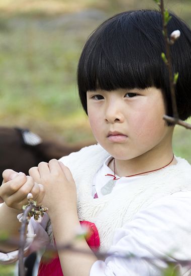 �ɰ�����Ģ��ͷ�̷�����ͼƬ Ģ��ͷ����ͼƬ������