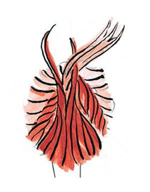 2015�����з������������� ������������������