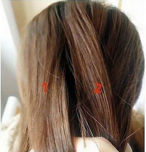 ��ѧ����α�ÿ�ͷ�� ��ѧ��ͷ����֯����