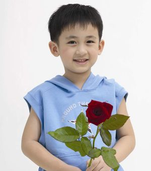 3��С�к����̷��ÿ��� 3���к����Զ̷�����