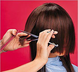 Ģ��ˮĸͷ����ͼƬ ˮĸͷ��ô��