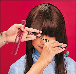 Ģ��ˮĸͷ����ͼƬ ˮĸͷ��ô��