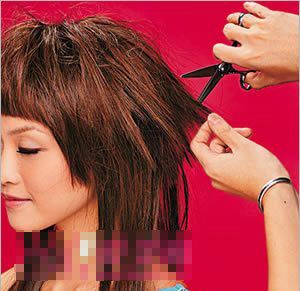 Ģ��ˮĸͷ����ͼƬ ˮĸͷ��ô��