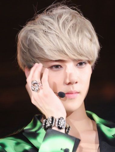 ����������������ɫ ����������Ⱦ������