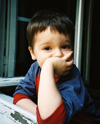 ����������С���Ӽ�ʲô���ͺ� ����С�к�ƽͷ����