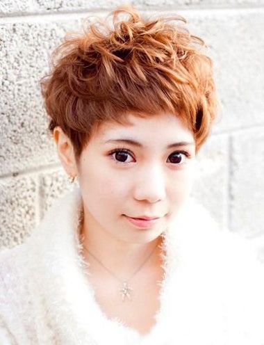 Բ���ʺ�Ģ��ͷ�� Բ��Ģ��ͷ�ʺϵ���ɫ