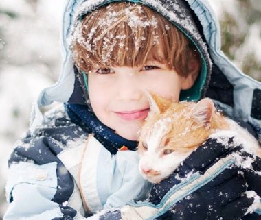 12�������к����ֵ�Բ����ʲô���� 12��Բ����������