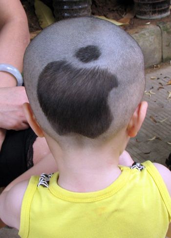 С�к�����ͼ������ͼƬ С�к����Է������