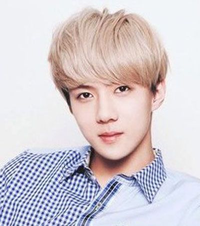 ��������ɫͷ�����Ⱦ ������ɫȾͷ������ͼƬ