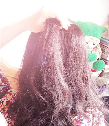 ��Ы�ӱ跢�� ��Ы�ӱ跢�͹���