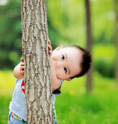 ����С�к��̷����� 2016�׶�С�к�����