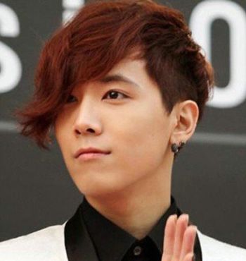 �����������������ʺ�Ⱦʲô��ɫ ��������Ⱦ������ͼƬ