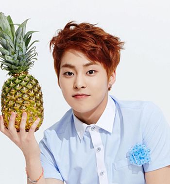 2015�����̷�������� �����̷�����ͼƬ