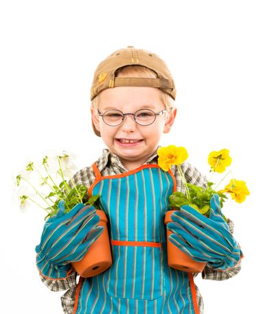 2016�������е�3�����к����� 3���б����¿�����