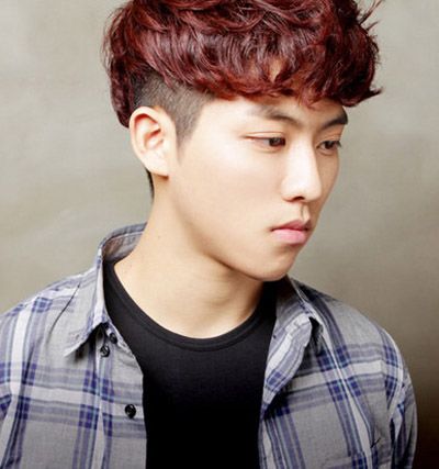 ���������̷����� �����̷�����ͼƬ