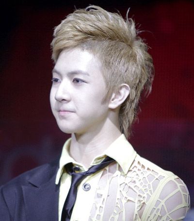 �к��ӱȽ��ʺ�Ⱦ��ô���ķ��� 2015����Ⱦ������