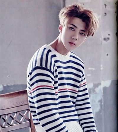 �ʺ��������ķ����� �������ʺ���ʲô������