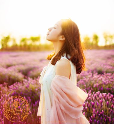 �����ͷ����ʲô���ͺÿ� ������ͷ���̴������ͼƬ