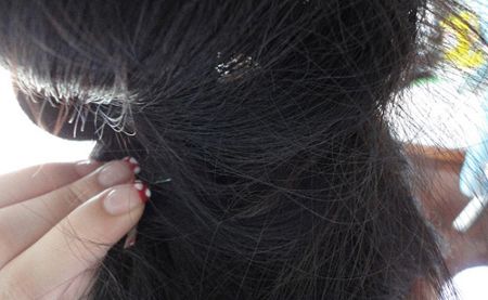 ����Ůѧ���̷����� ����ѧ���̷�ͼ��