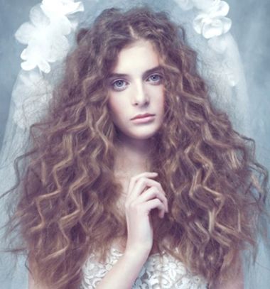 ������С���˾��ÿ��� ����С���˾����̷���ͼƬ