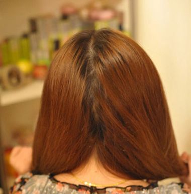 ѧ����ʲô��������� ѧ��������������