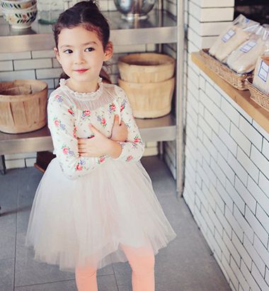 ��ʽС�������������� ѧ��С���򵥷���ͼ��