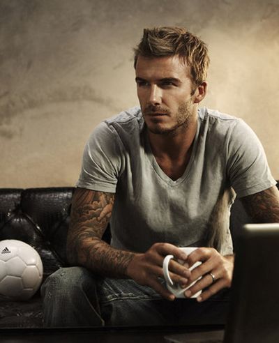 2016�����������ʺ�ʲô���� �����������ʺϵķ���