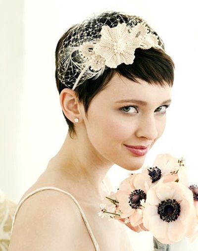 �ɰ��������̷����� 2016����������������̷�����