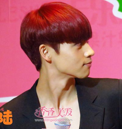 ����Ģ��ͷȾ����ɫ��ȫ 2016��ʿʱ��Ⱦ����ɫģ��