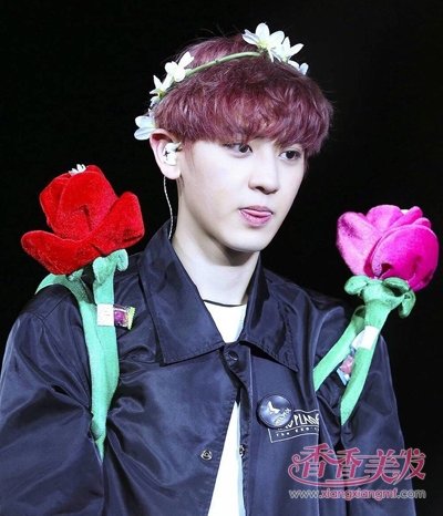 2016��������ʲôȾ����ɫ 2016��������Ⱦ����ɫ