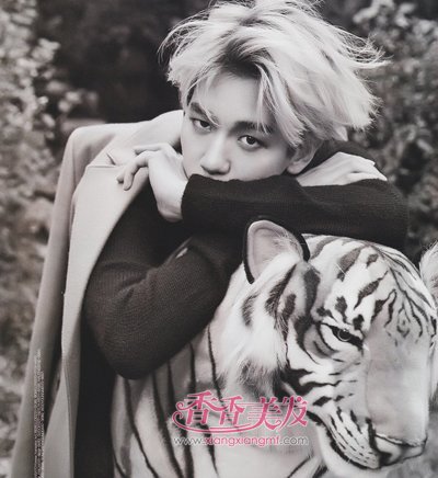 �����̷��̷���������ͼƬ 2016�̷����·�����